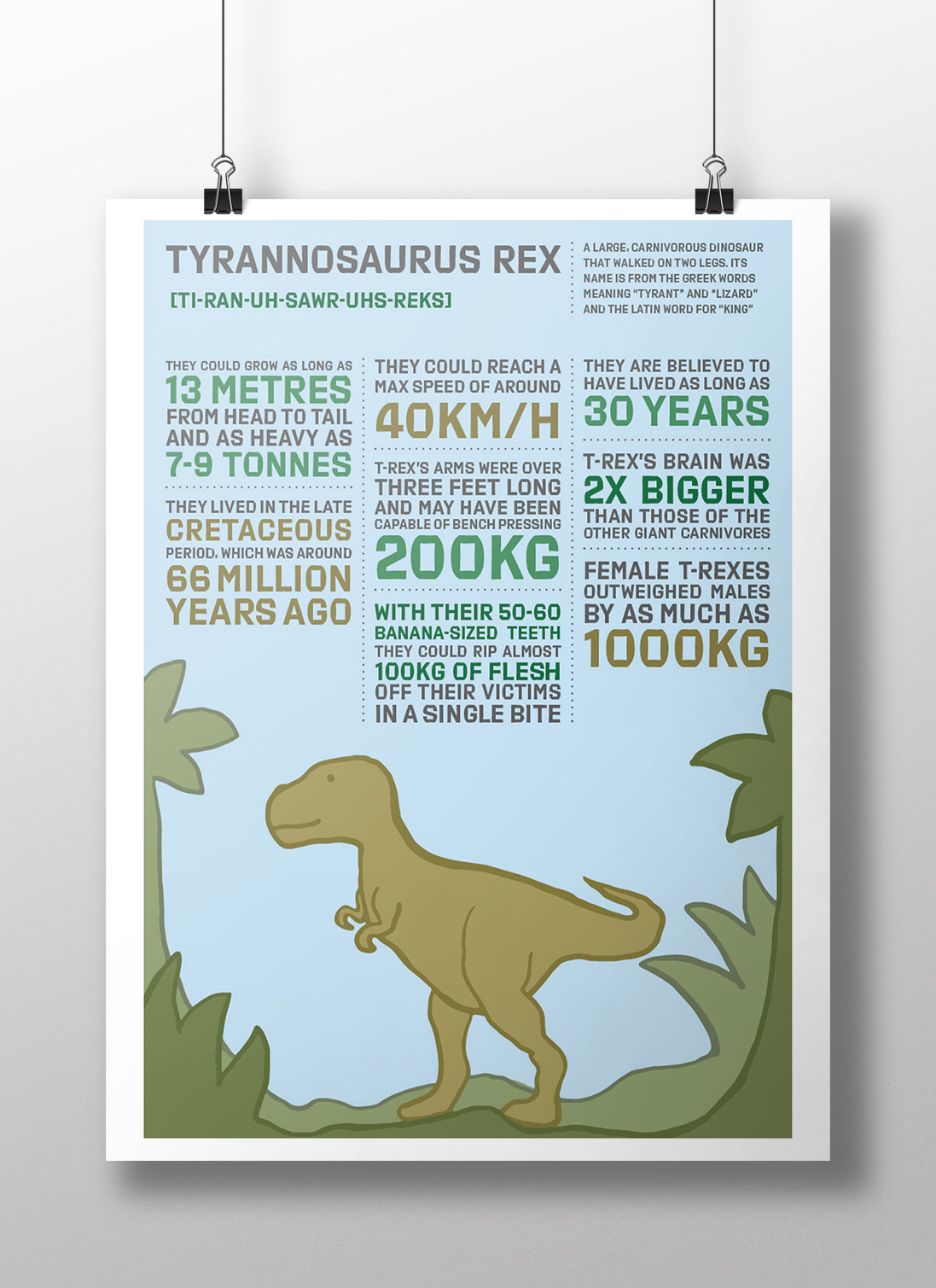  This began as some fun illustrations which I have now converted these into interesting infographic posters for my Etsy store.