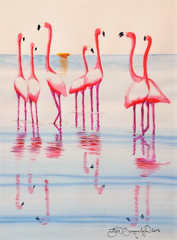 Flamingo family