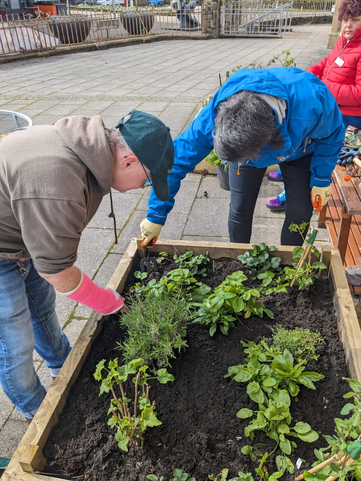 People Speak Up's community Garden