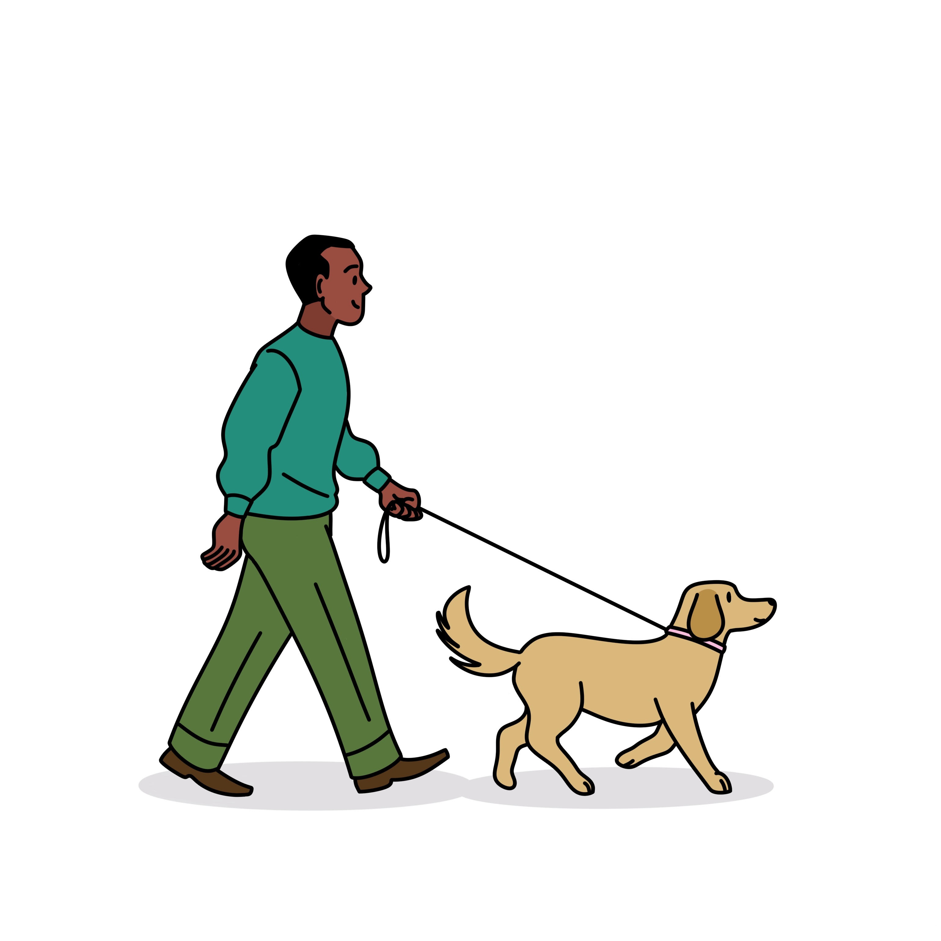 Illustration of a man taking his Labrador for a walk