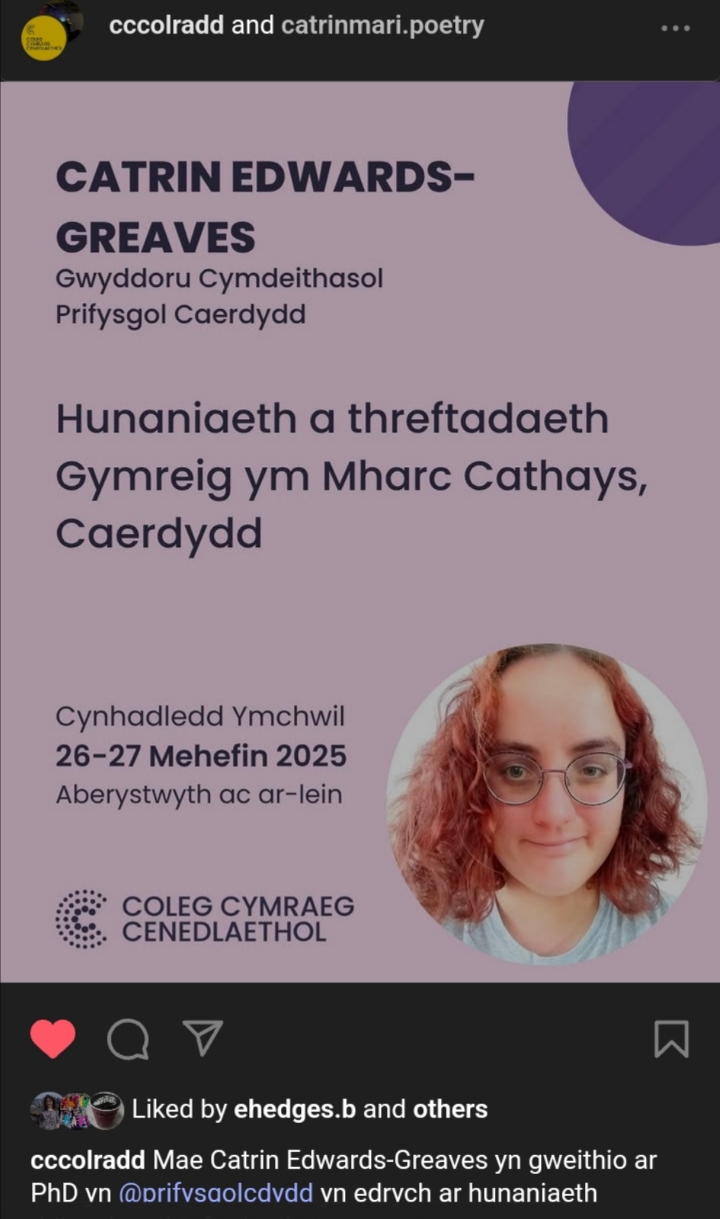 Welsh language text about a paper I presented at a conference.