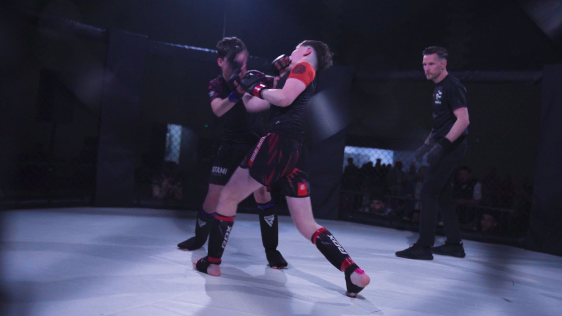 Still from Dragon Fight Night 2