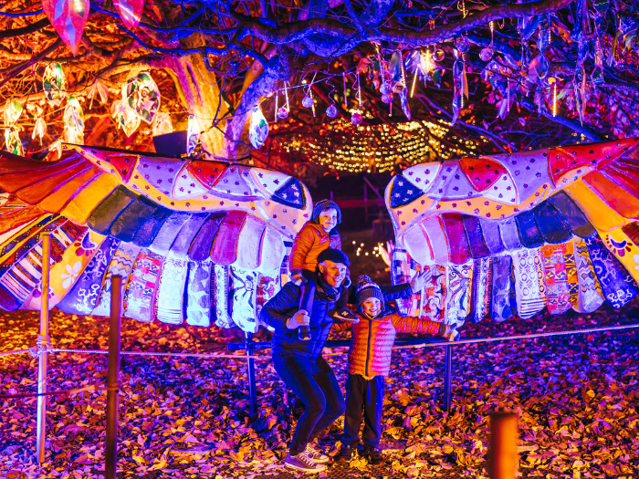 An image of an installation at Christmas at Bute Park