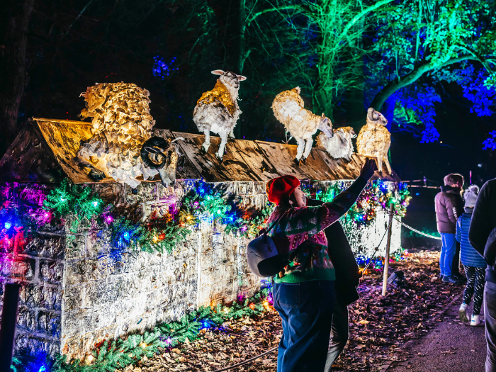 Christmas at Bute Park installation