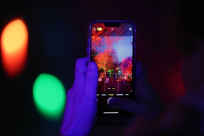An image of Christmas at Bute park through the phone